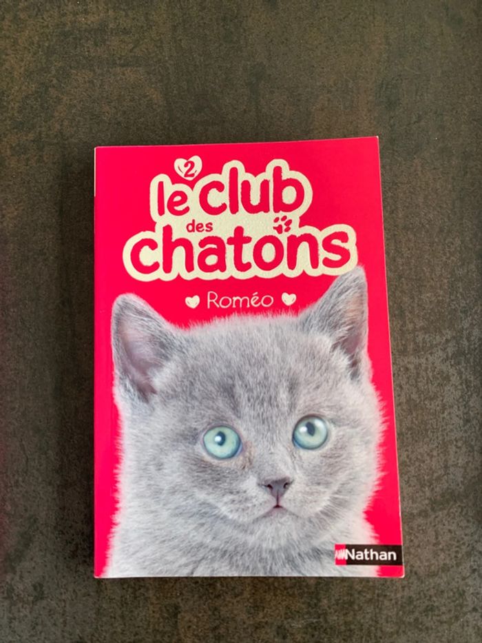 Livre enfant - photo numéro 4