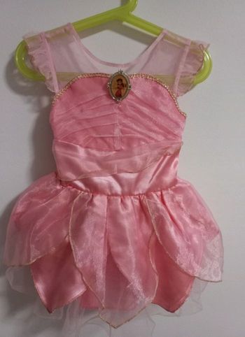 Déguisement rosella