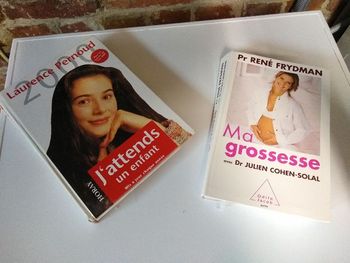 lot 2 livres sur la grossesse