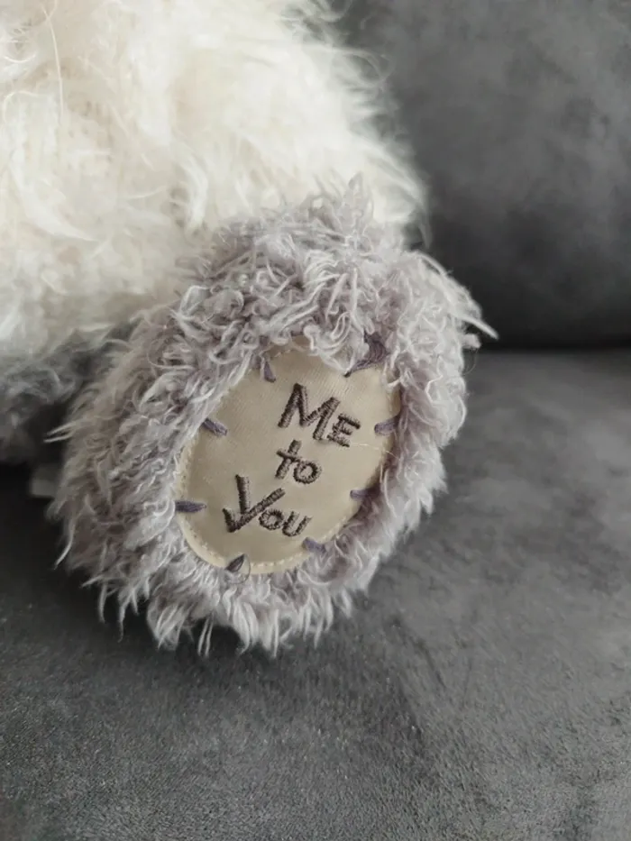 Peluche me to you - photo numéro 2