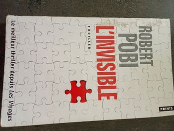 L invisible de Robert Pobi