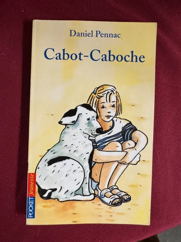 Livre cabot caboche