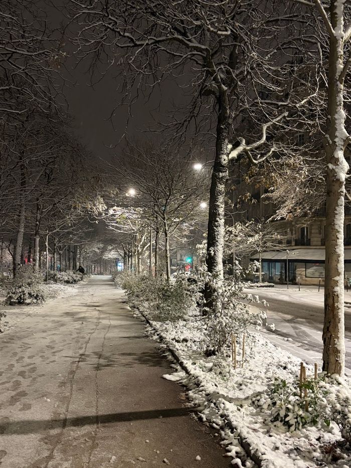 Lot 50 pièces Coquillette