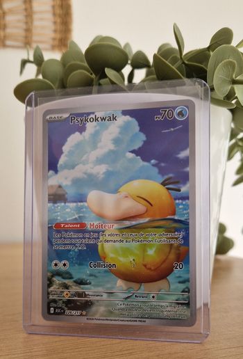 Psykokwak 226 heros transcendants 