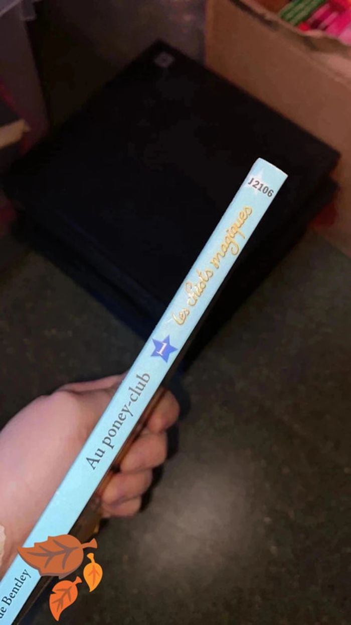 Les chiots magiques « Au poney club » - photo numéro 3