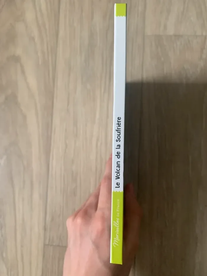 Le Volcan de la Soufrière - Virginie Grimaldi & Flavie Pichot - photo numéro 3