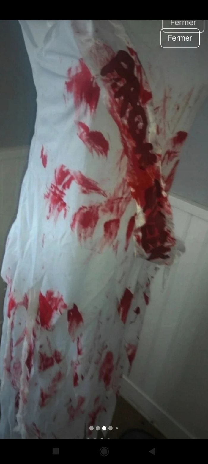 Déguisement femme f12 - photo numéro 6