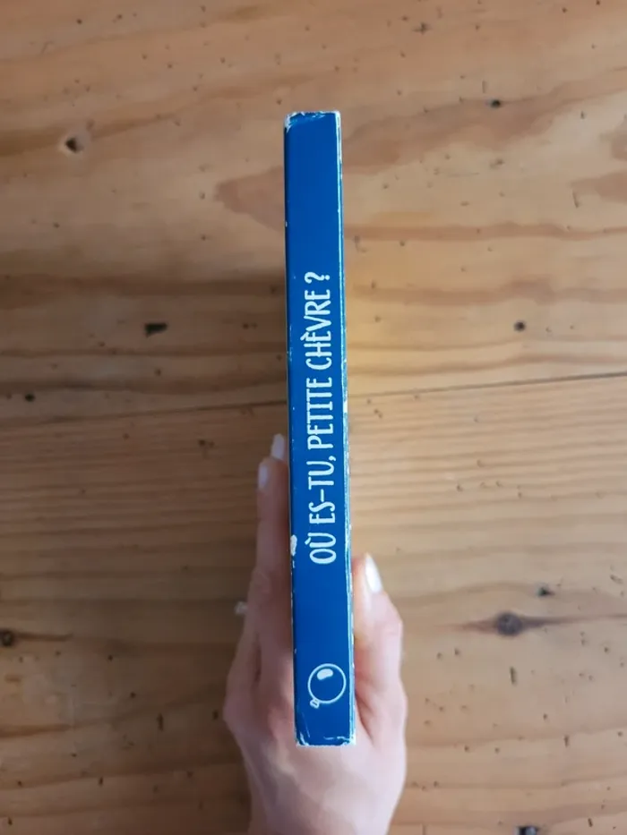 Livre Où es-tu petite chèvre ? - photo numéro 3