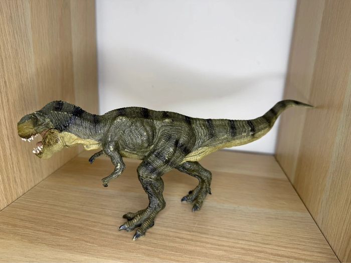 Tyrannosaures papo - photo numéro 5