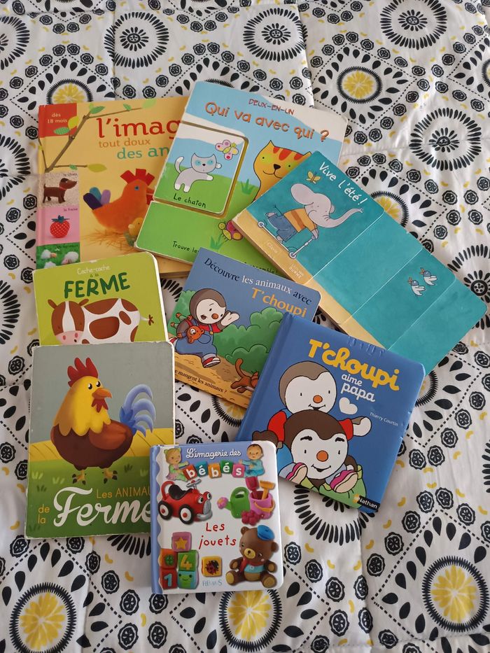Lot de livres carton