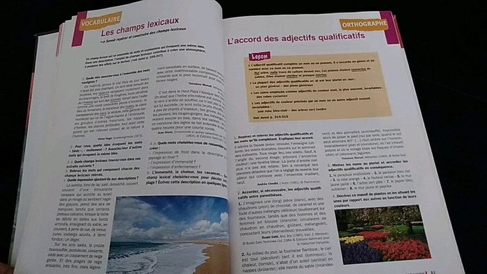 Manuel de français 5e Français en séquences - photo numéro 5