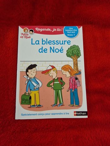 Livre regarde je lis mila et noé, la blessure de noé