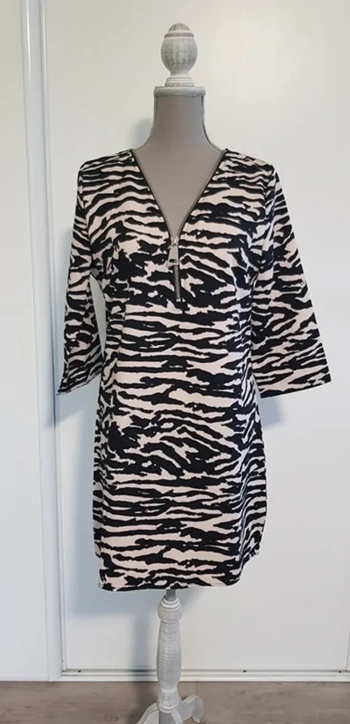 Robe rayée / zèbre
