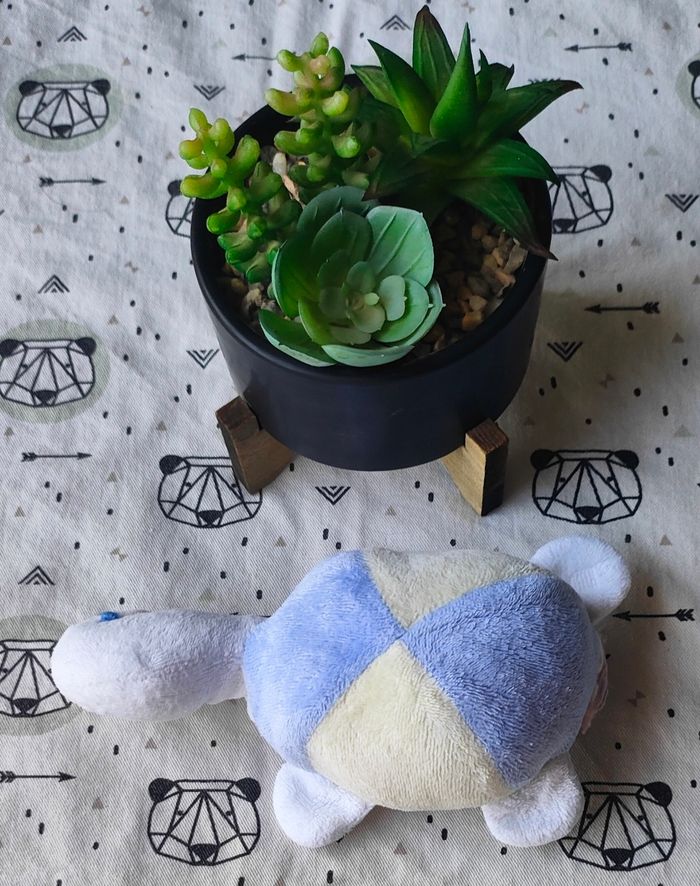 Peluche - photo numéro 2