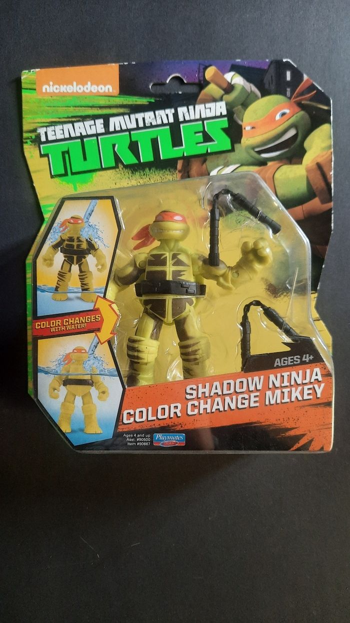 Teenage mutant ninja Turtles