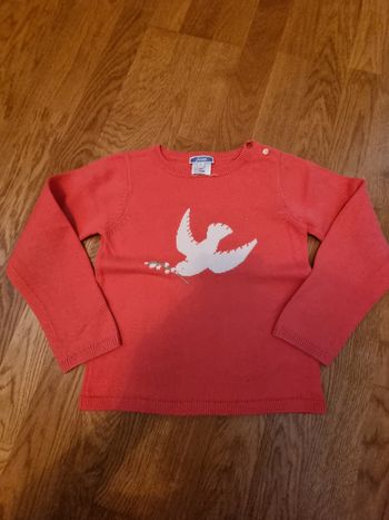 Pull oiseau 