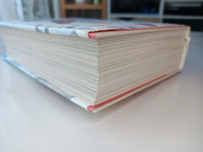 Livre illustration now! Portraits hors commerce (édition taschen italien, espagnol et portugais) - photo numéro 8