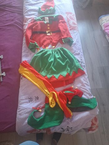 Déguisement  arlequins