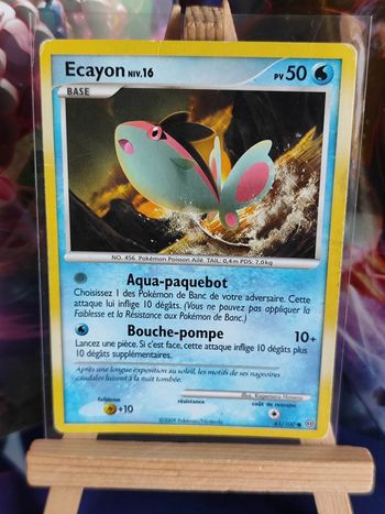 Ecayon niv 16 61/100 tempête