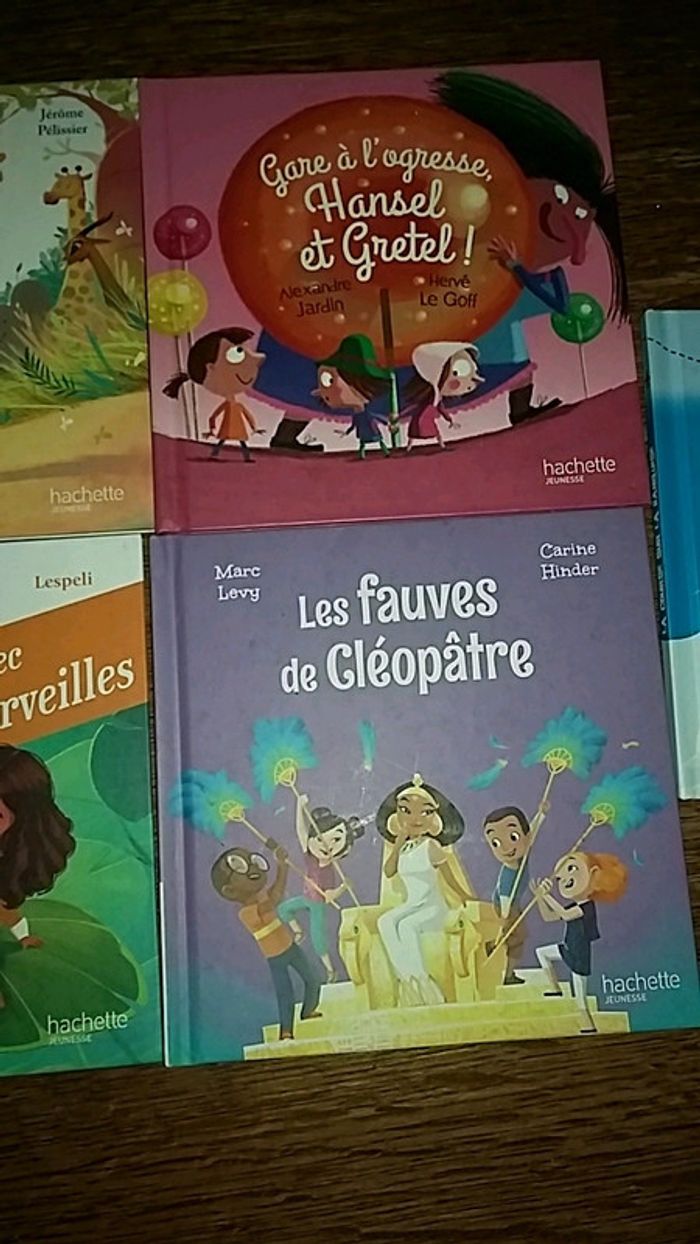 Livre MC do - photo numéro 3