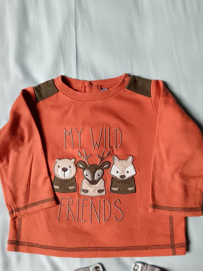 Lot de 6 Tee-shirts ML garçon 12 mois - photo numéro 3