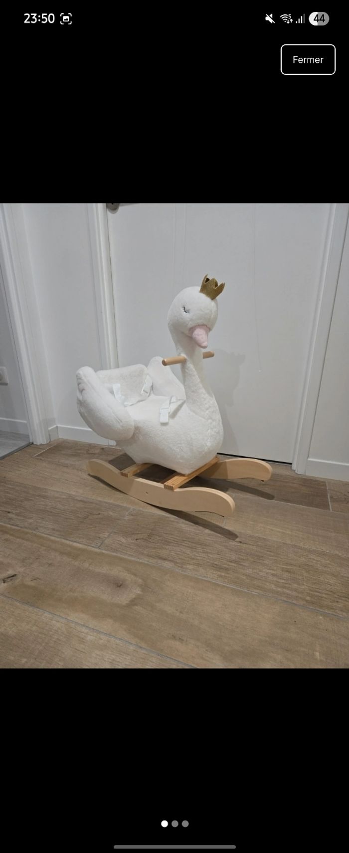 Cygne a bascule - photo numéro 2