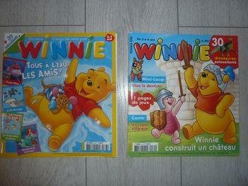 Cahiers activités Winnie