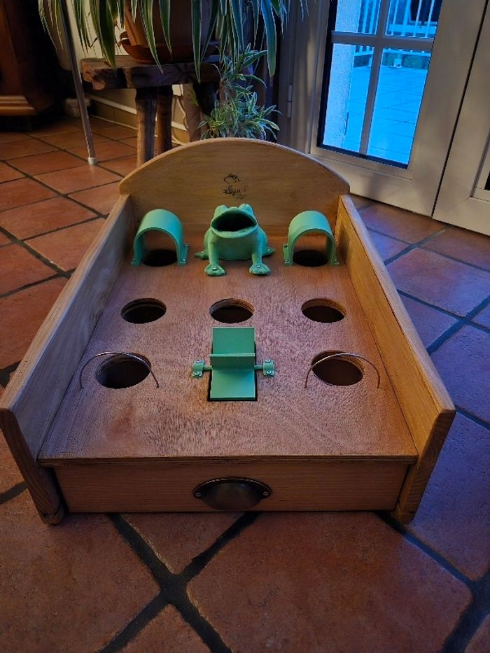 Jeu de la grenouille  ( version plastique  )