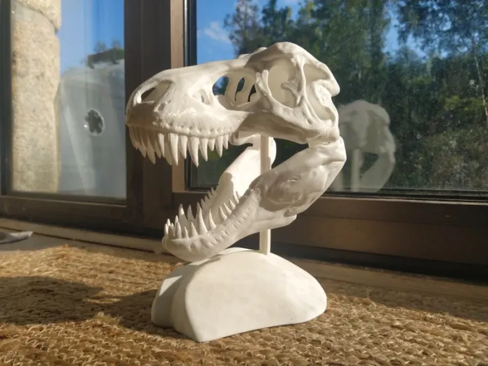 Crâne de T-Rex tyrannosaure Jurassic park - photo numéro 3