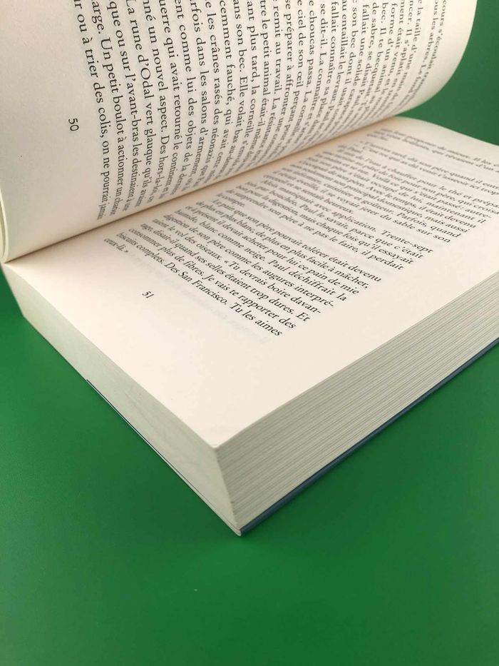 Sainte Rita - Tommy Wieringa - photo numéro 3