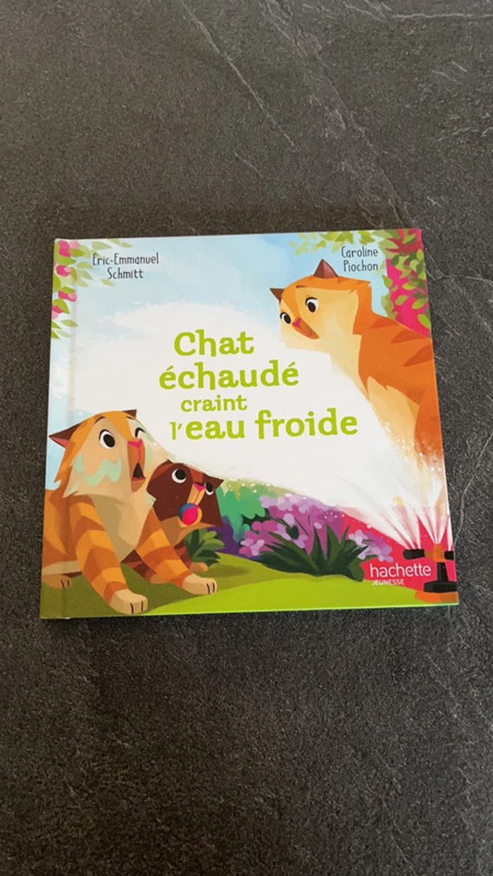 Livre Chat échaudé craint l’eau froide