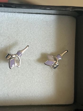 Boucles d’oreilles argent