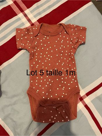 Lot bodies bébé fille 1 mois