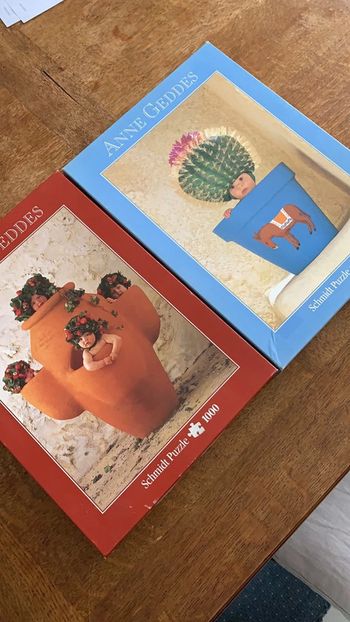 Lot puzzle 1000 pièces