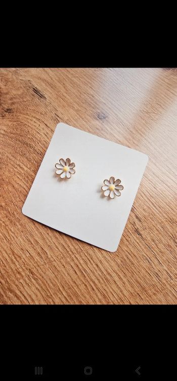 Magnifique boucles d'oreilles acier inoxydable