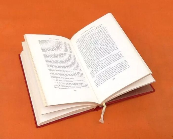 Les chefs-d' oeuvre de la littérature Russe Nicolas Leskov Le vagabond ensorcelé - photo numéro 2