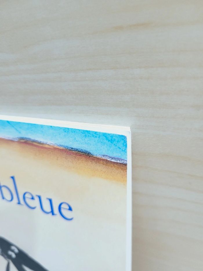 🌺 Livre (école des loisirs) : La chaise bleue - photo numéro 7