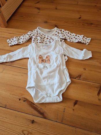 Bodies disney coton
