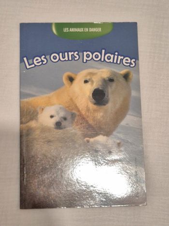 Les ours polaires - les animaux en danger