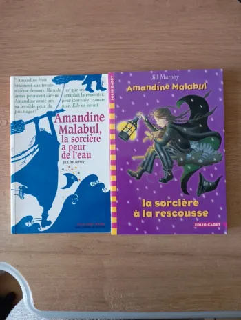 Lot livres Amandine Malabul