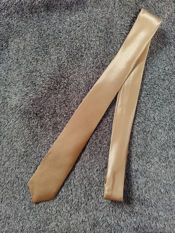 Cravate beige champagne 