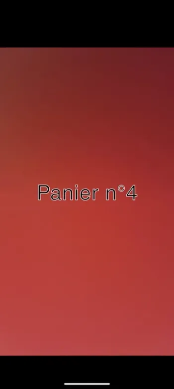 Panier 4