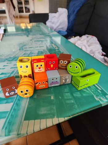 Cubes sonores en bois animaux de la savane 