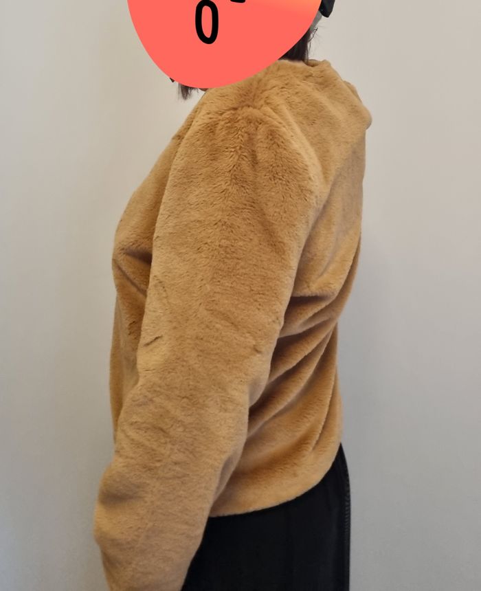 Veste type fourrure - photo numéro 2