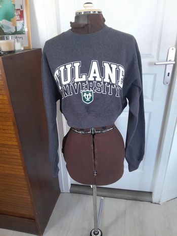 Sweat croq top Champion brodé imprimé universitaire