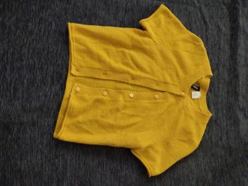 Gilet manche courte 