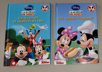 Lot de 2 livres la maison de Mickey