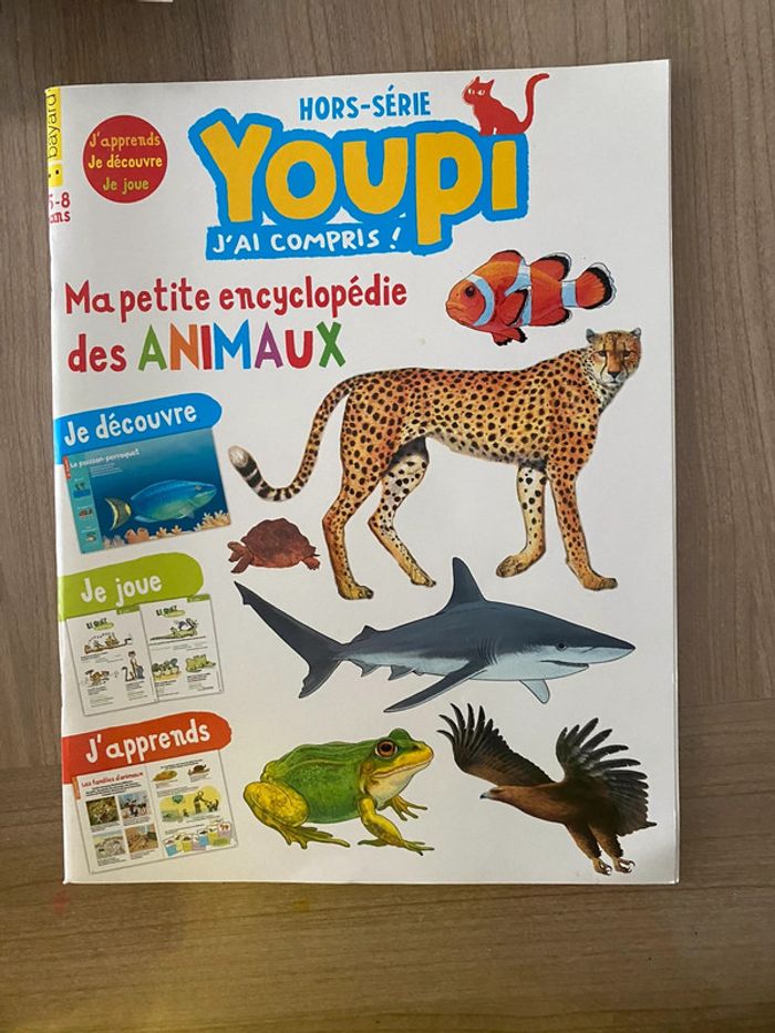 Lot de 4 hors série Youpi j’ai compris - photo numéro 3