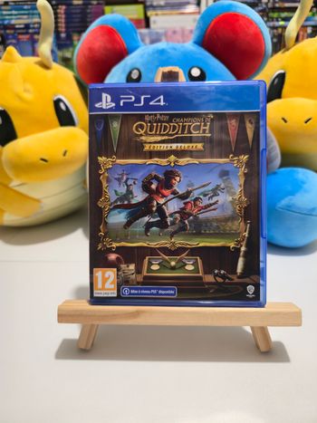 Jeu PS4 Harry Potter Champions de Quidditch