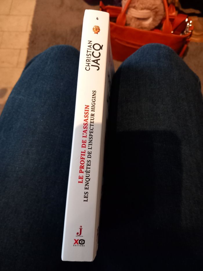 Le profil de l'assassin- Christian Jacq - photo numéro 3